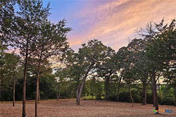 000 AGGET ROAD, SMITHVILLE, TX 78957 - Image 1