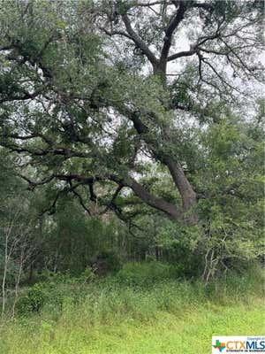 TBD COUNTY ROAD 333, SUTHERLAND SPRINGS, TX 78161 - Image 1