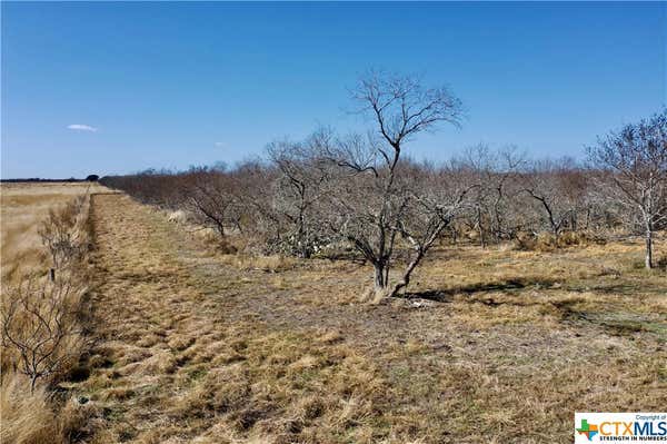 TBD FANNIN - TRACT A, GOLIAD, TX 77963, photo 3 of 6