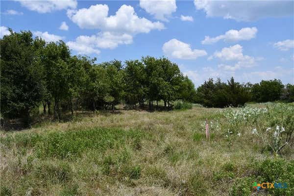 LOT 3 HCR 3363, MOUNT CALM, TX 76673 - Image 1