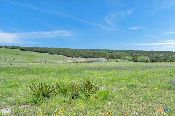 LOT 4 CR 207, BURNET, TX 78611 - Image 1