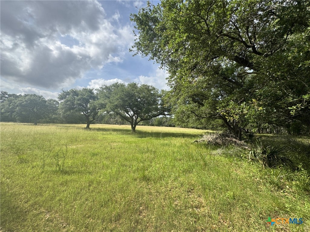 Louise, Texas, 77455, United States, ,1 BathroomBathrooms,Residential,Active,1798138