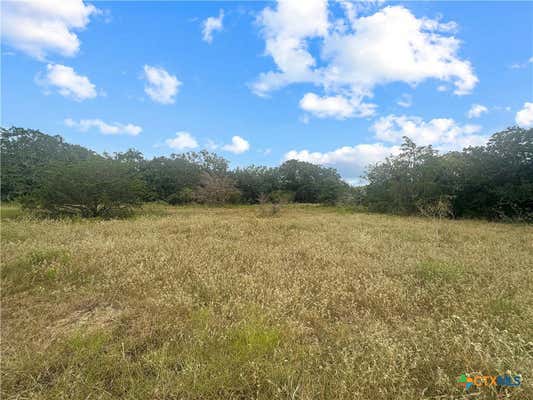 33+/- DAVIS ROAD, FLATONIA, TX 78941 - Image 1