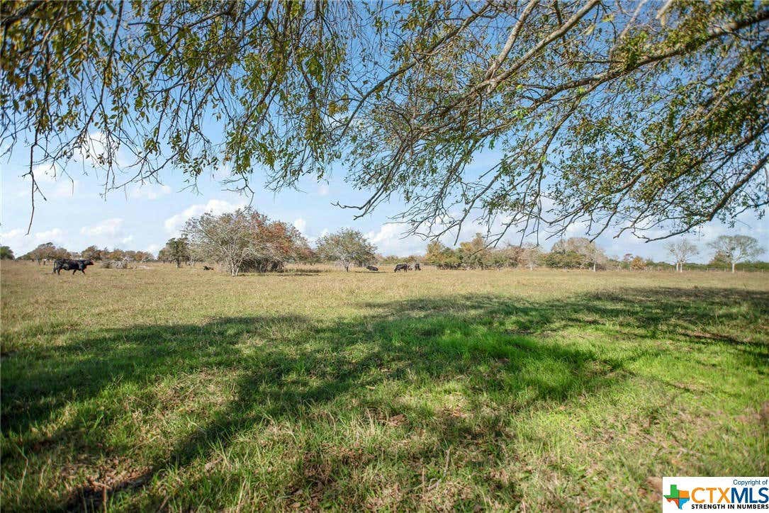 0 COUNTY ROAD 429, LOLITA, TX 77971, photo 1 of 15