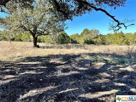 TBD LOT 85 PR 4212, EVANT, TX 76525, photo 2 of 14