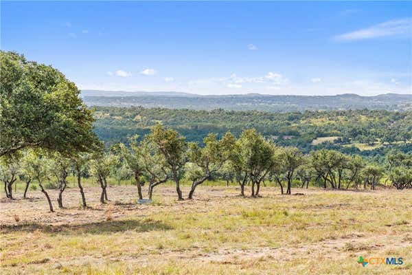 6590 W HIGHWAY 290, DRIPPING SPRINGS, TX 78620 - Image 1