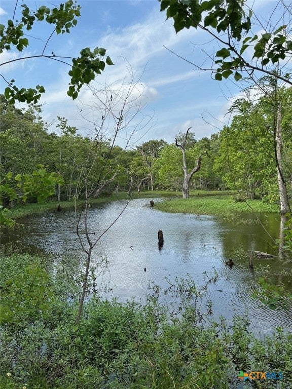 Louise, Texas, 77455, United States, ,1 BathroomBathrooms,Residential,Active,1798138