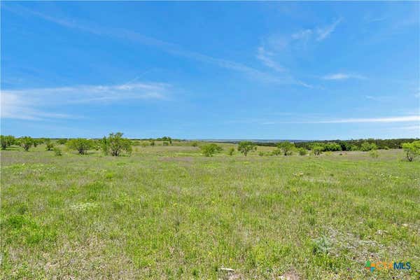 LOT 1 CR 207, BURNET, TX 78611 - Image 1