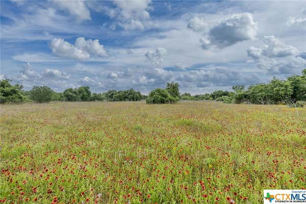 TBD CR 113 STREET, NIXON, TX 78140, photo 3 of 11