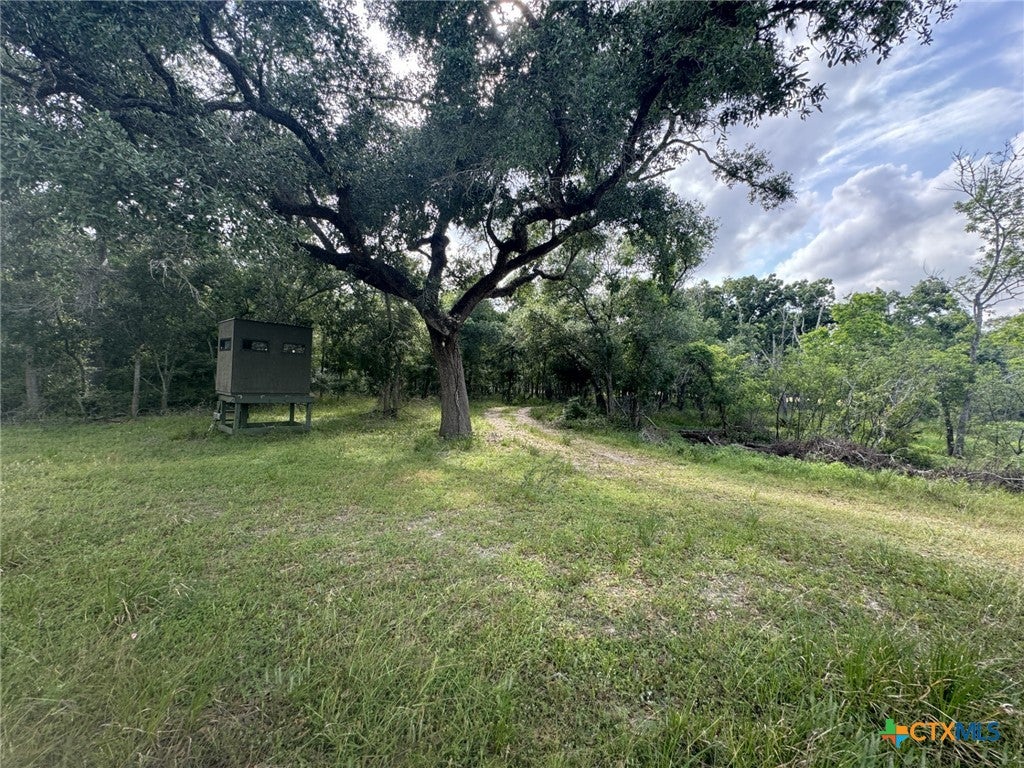 Louise, Texas, 77455, United States, ,1 BathroomBathrooms,Residential,Active,1798138