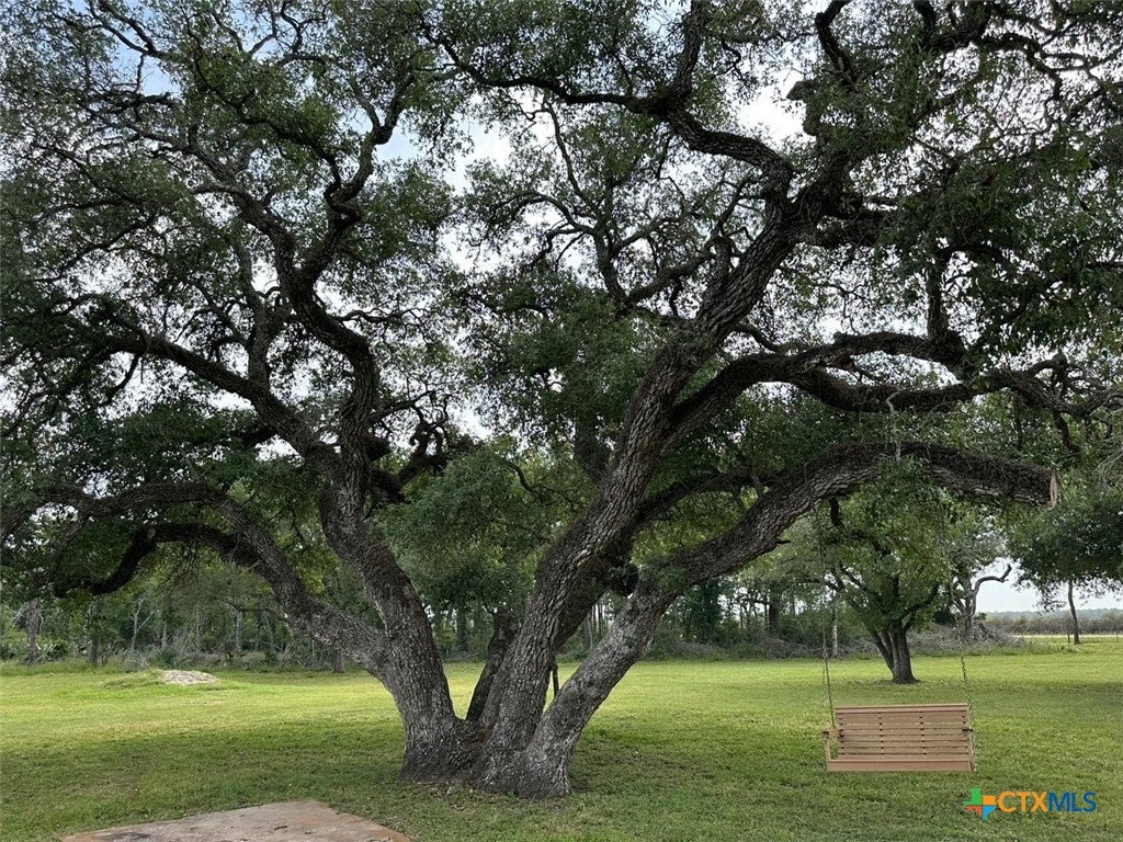 Louise, Texas, 77455, United States, ,1 BathroomBathrooms,Residential,Active,1798138