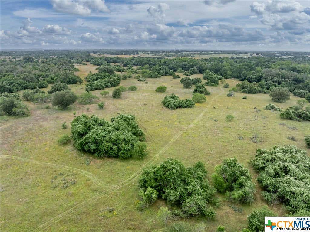 TBD CR 113 STREET, NIXON, TX 78140, photo 1 of 11