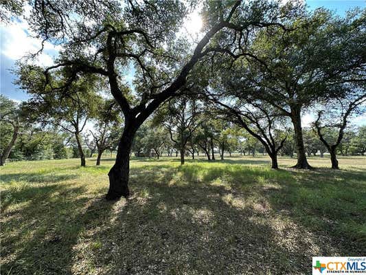 00 U S HWY 77, YOAKUM, TX 77995, photo 2 of 32