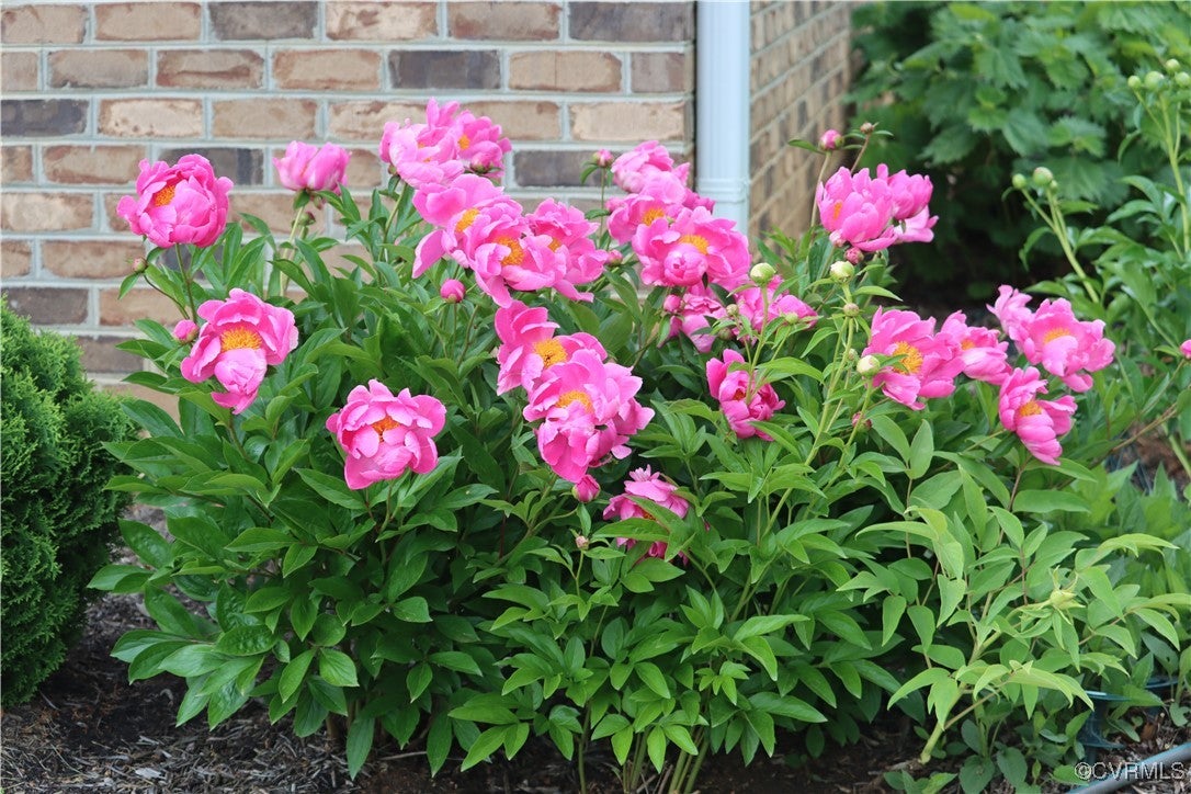 Bumpass, Virginia, 23024, United States, ,4 BathroomsBathrooms,Residential,Active,1791406