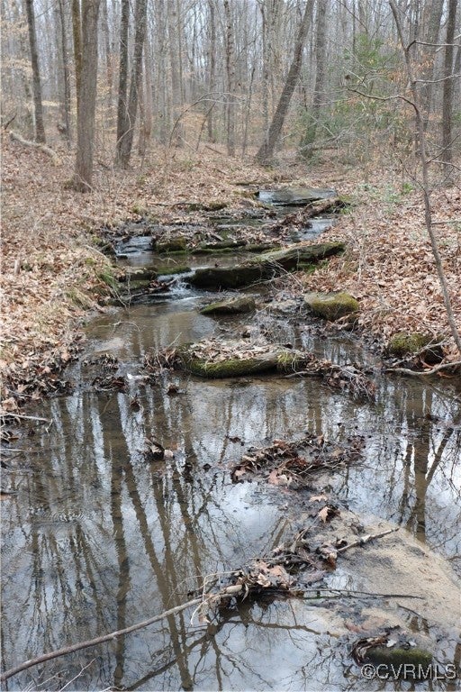 Bumpass, Virginia, 23024, United States, ,4 BathroomsBathrooms,Residential,Active,1791406