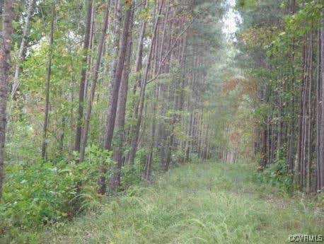 LOT 5 NOTTOWAY RIVER FARMS, MC KENNEY, VA 23872 - Image 1