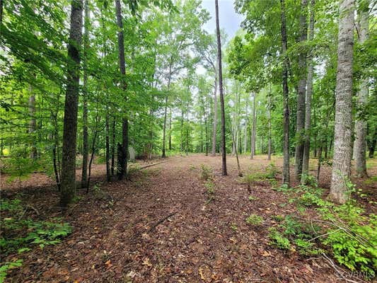 LOT 3 NARROW PATH WAY, BOWLING GREEN, VA 22427 - Image 1