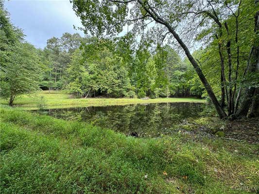 LOT 0110 MOUNTAIN TRACK RD, ORANGE, VA 22960 - Image 1