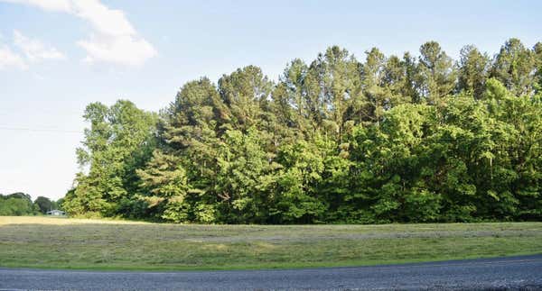 000 OLD SAMBURG RD, HORNBEAK, TN 38232 - Image 1