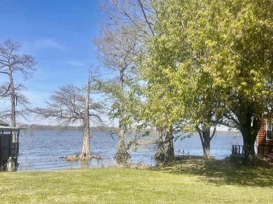 0 LAKE DRIVE, HORNBEAK, TN 38232 - Image 1