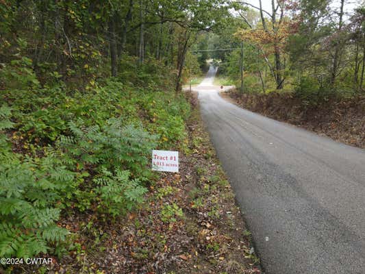 TRACT 1 HIGHWAY 100 & PEACE CHAPEL RD HIGHWAY, DECATURVILLE, TN 38329 - Image 1