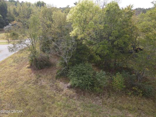 TRACT 5 HWY 100 & OLD STAGE RD, DECATURVILLE, TN 38329, photo 5 of 13