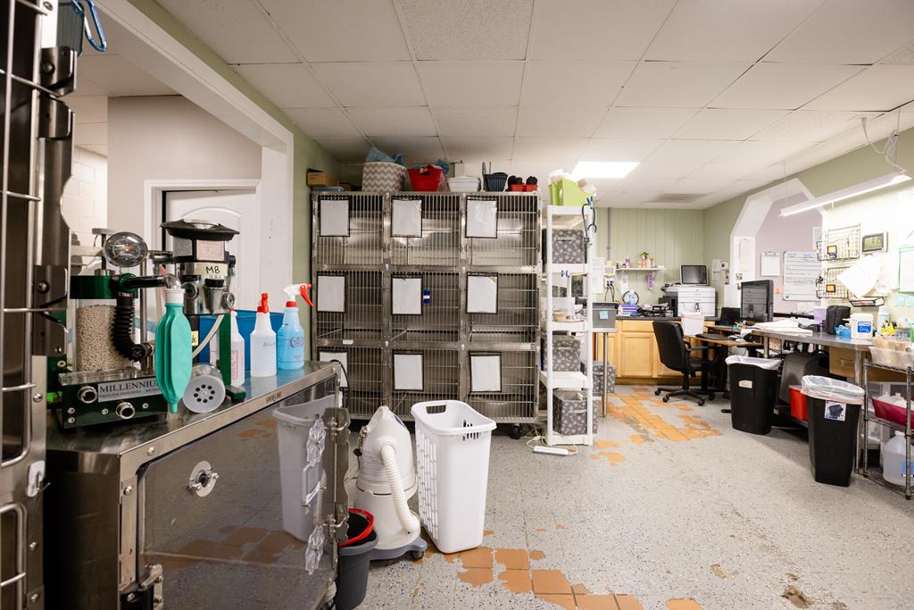 Dalton, Georgia, 30720, United States, ,Residential,Active,2001043