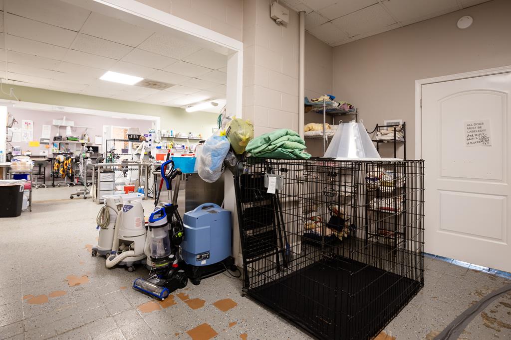 Dalton, Georgia, 30720, United States, ,Residential,Active,2001043