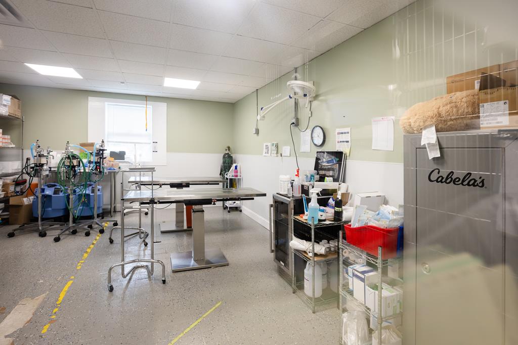 Dalton, Georgia, 30720, United States, ,Residential,Active,2001043