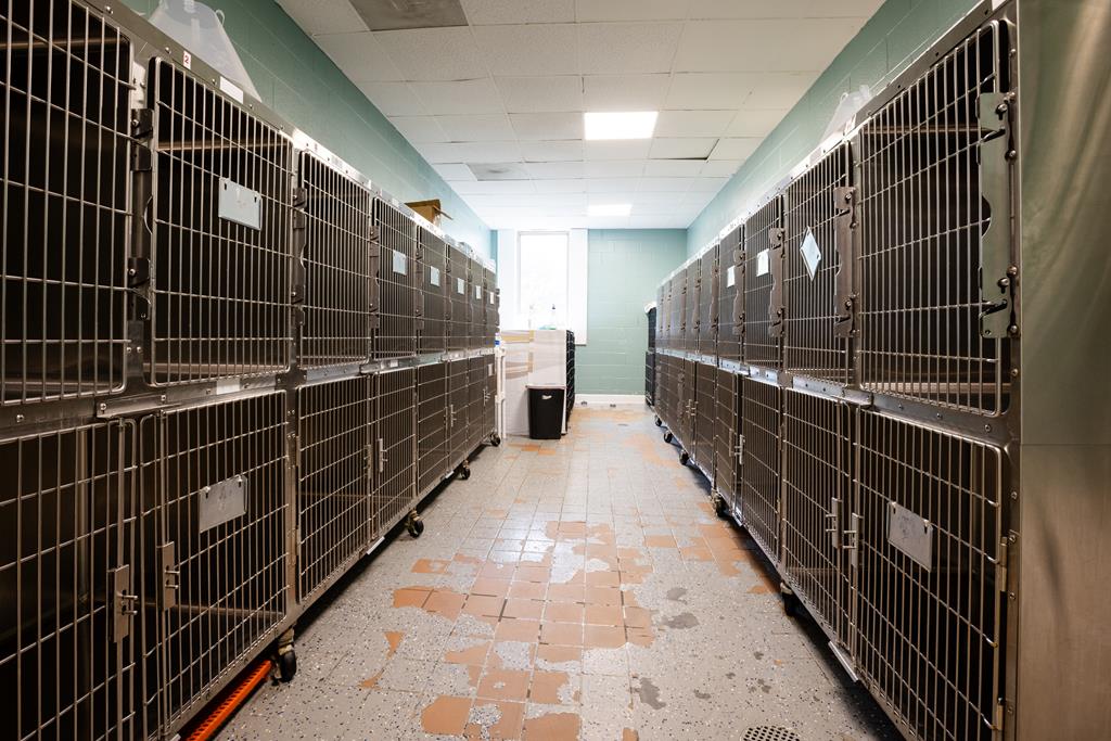 Dalton, Georgia, 30720, United States, ,Residential,Active,2001043