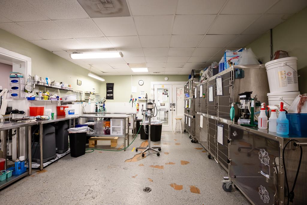 Dalton, Georgia, 30720, United States, ,Residential,Active,2001043