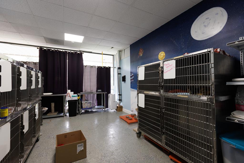 Dalton, Georgia, 30720, United States, ,Residential,Active,2001043