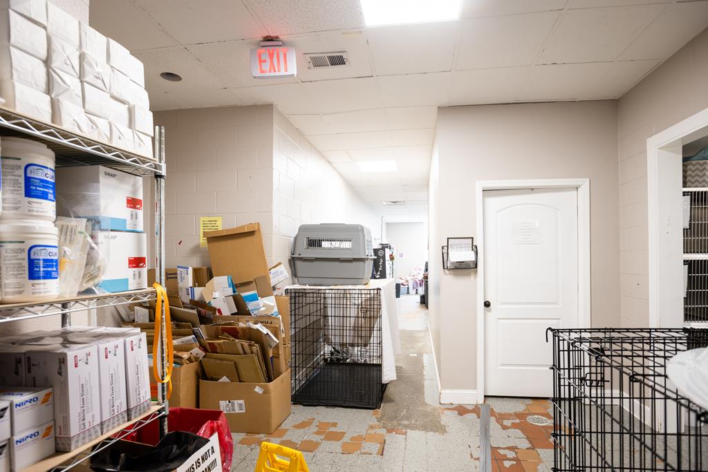 Dalton, Georgia, 30720, United States, ,Residential,Active,2001043