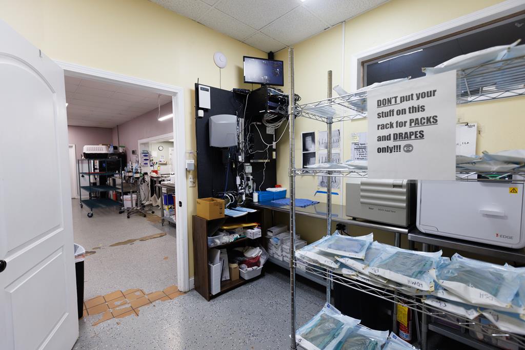 Dalton, Georgia, 30720, United States, ,Residential,Active,2001043