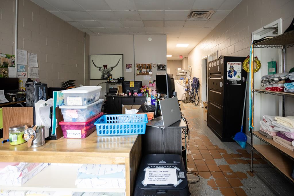 Dalton, Georgia, 30720, United States, ,Residential,Active,2001043