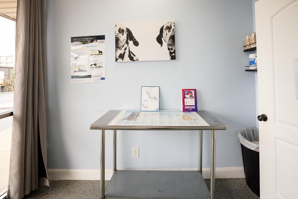 Dalton, Georgia, 30720, United States, ,Residential,Active,2001043