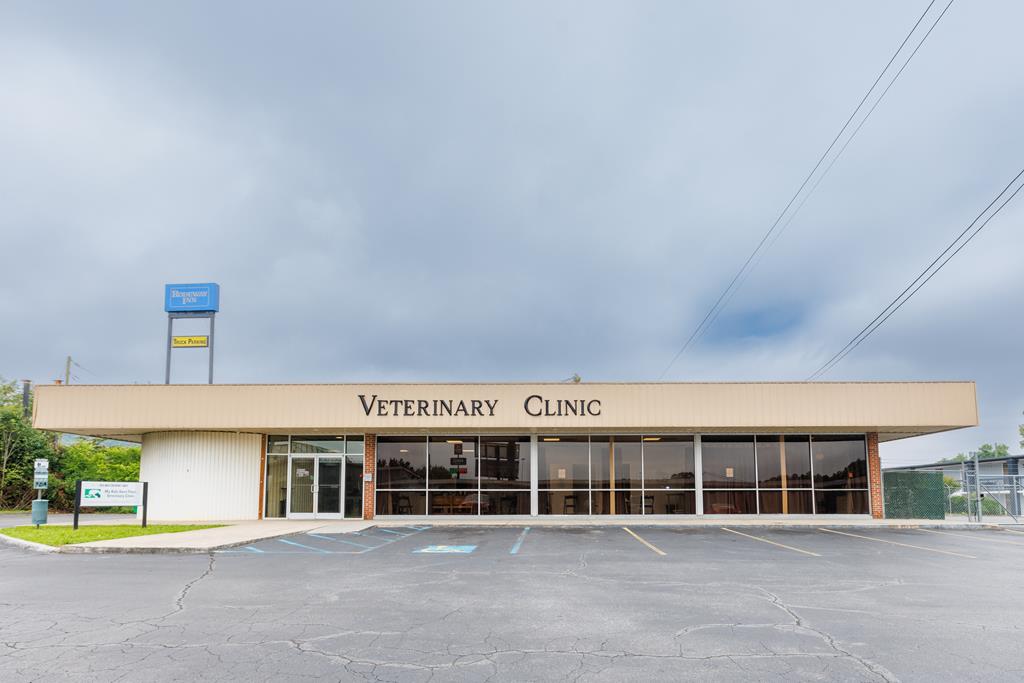 Dalton, Georgia, 30720, United States, ,Residential,Active,2001043