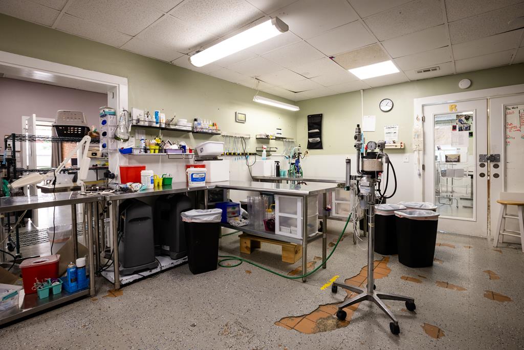 Dalton, Georgia, 30720, United States, ,Residential,Active,2001043