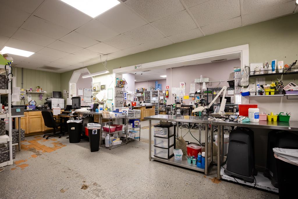 Dalton, Georgia, 30720, United States, ,Residential,Active,2001043