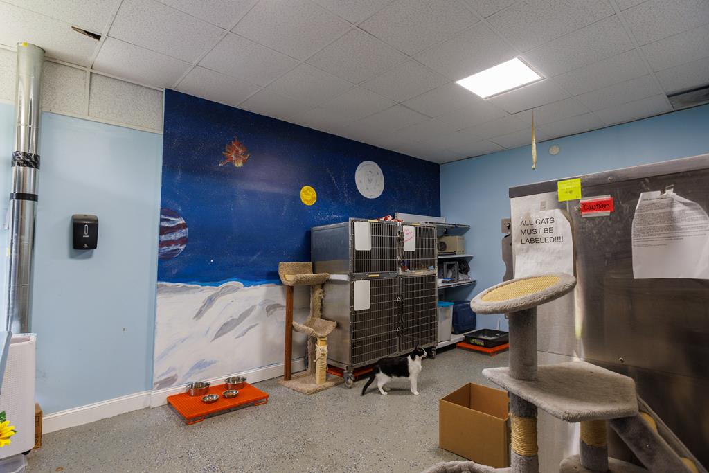 Dalton, Georgia, 30720, United States, ,Residential,Active,2001043