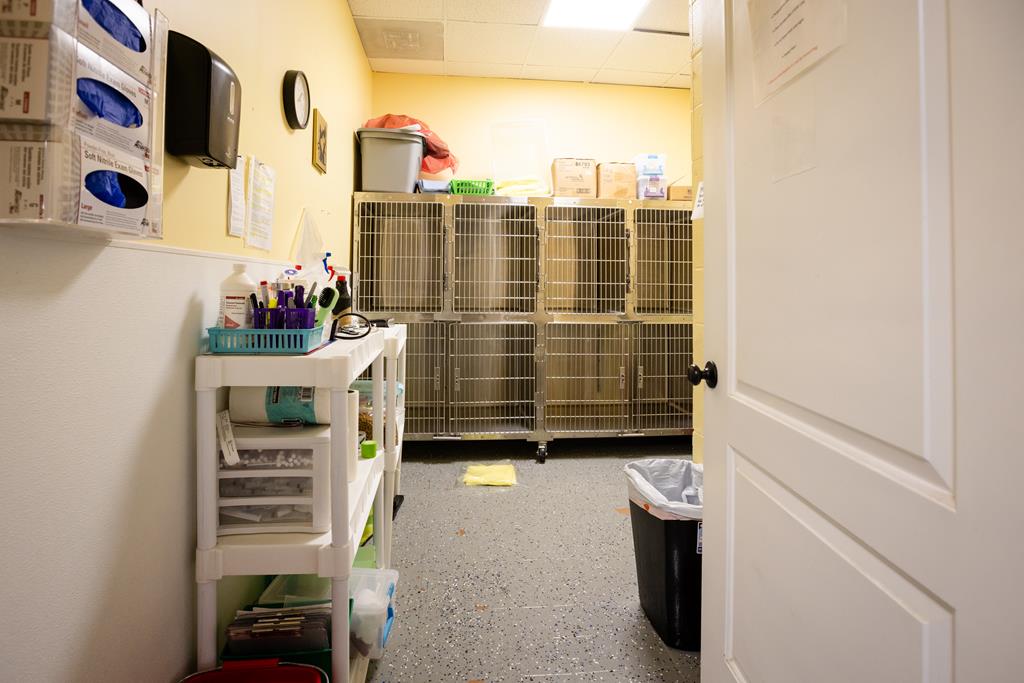 Dalton, Georgia, 30720, United States, ,Residential,Active,2001043