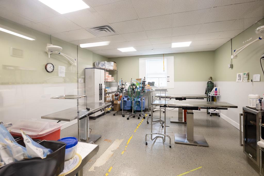 Dalton, Georgia, 30720, United States, ,Residential,Active,2001043