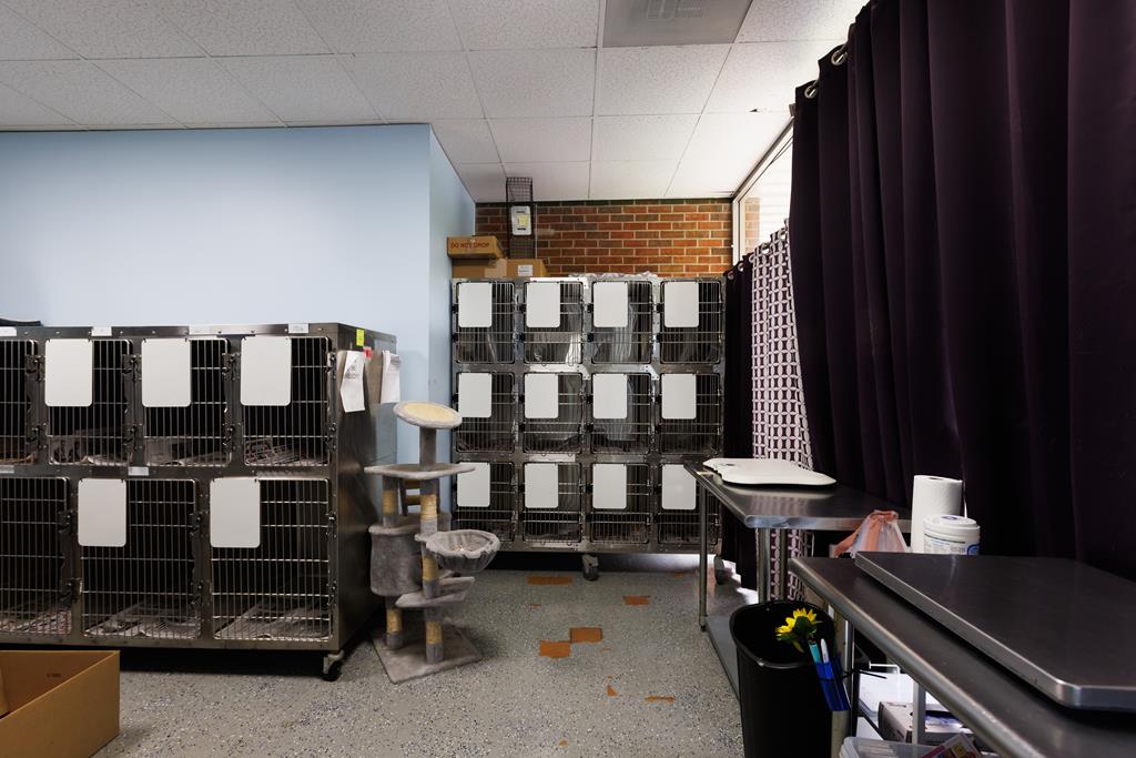 Dalton, Georgia, 30720, United States, ,Residential,Active,2001043