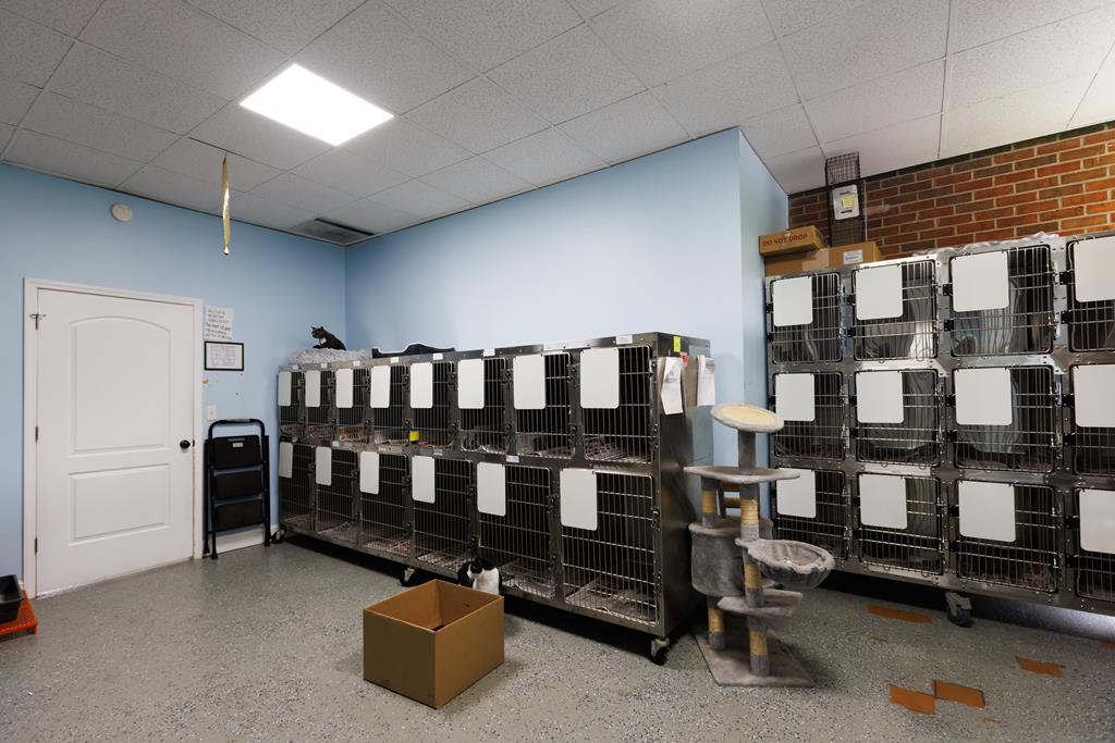 Dalton, Georgia, 30720, United States, ,Residential,Active,2001043