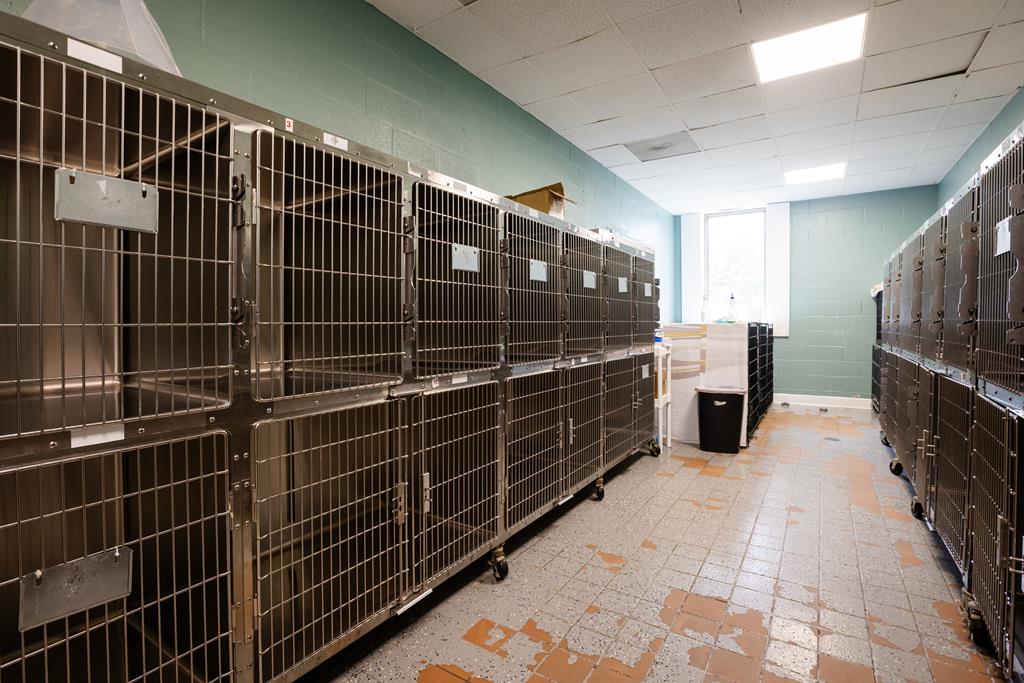 Dalton, Georgia, 30720, United States, ,Residential,Active,2001043