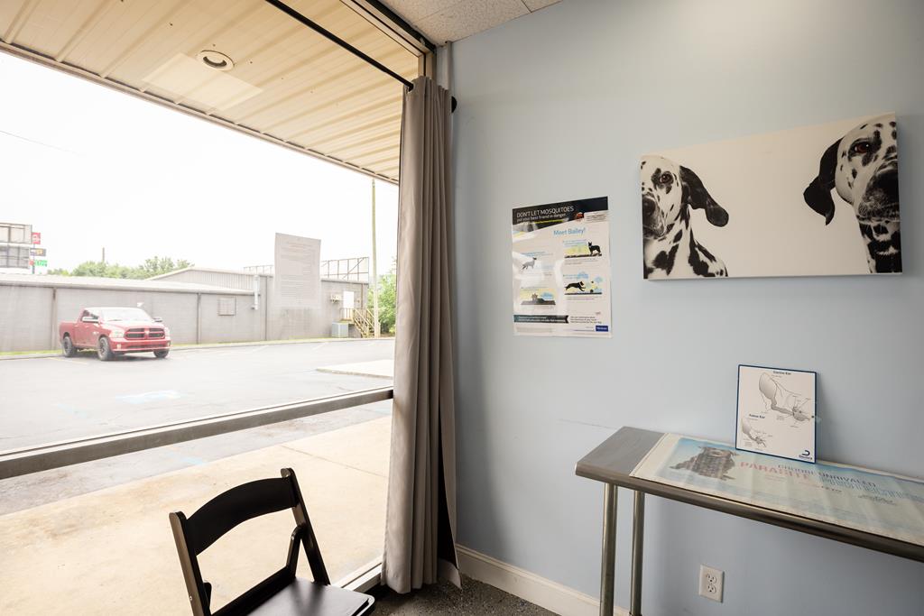 Dalton, Georgia, 30720, United States, ,Residential,Active,2001043