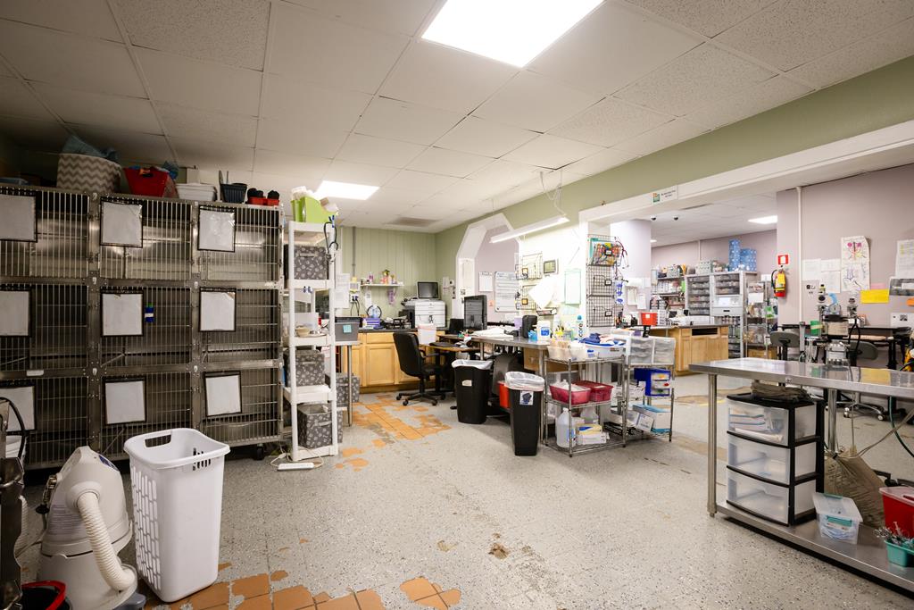 Dalton, Georgia, 30720, United States, ,Residential,Active,2001043