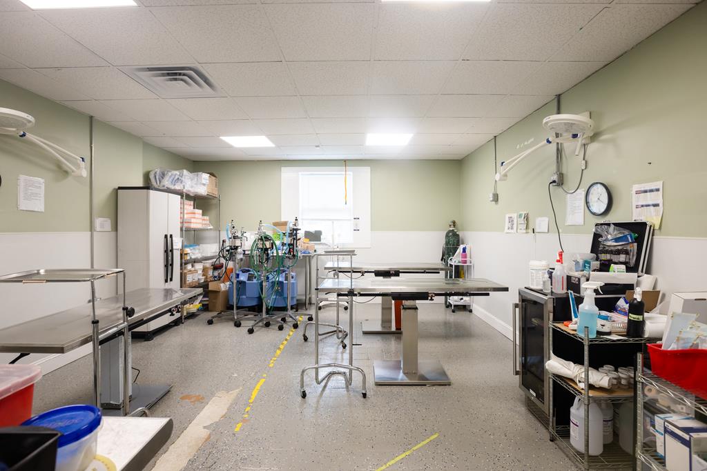 Dalton, Georgia, 30720, United States, ,Residential,Active,2001043