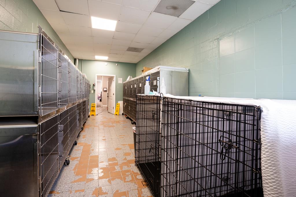 Dalton, Georgia, 30720, United States, ,Residential,Active,2001043