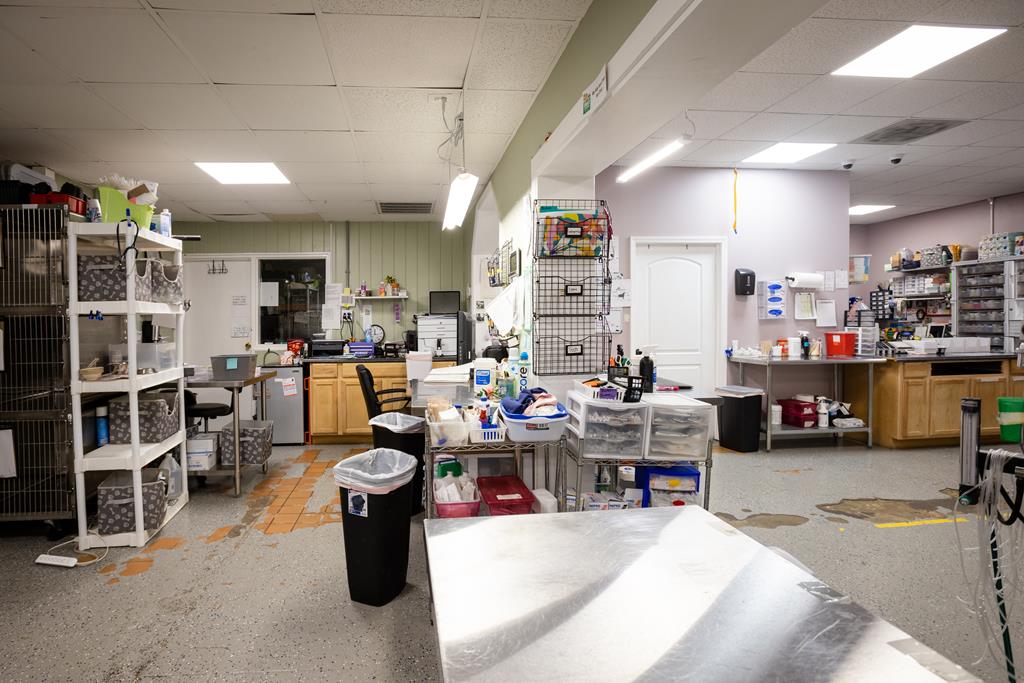 Dalton, Georgia, 30720, United States, ,Residential,Active,2001043